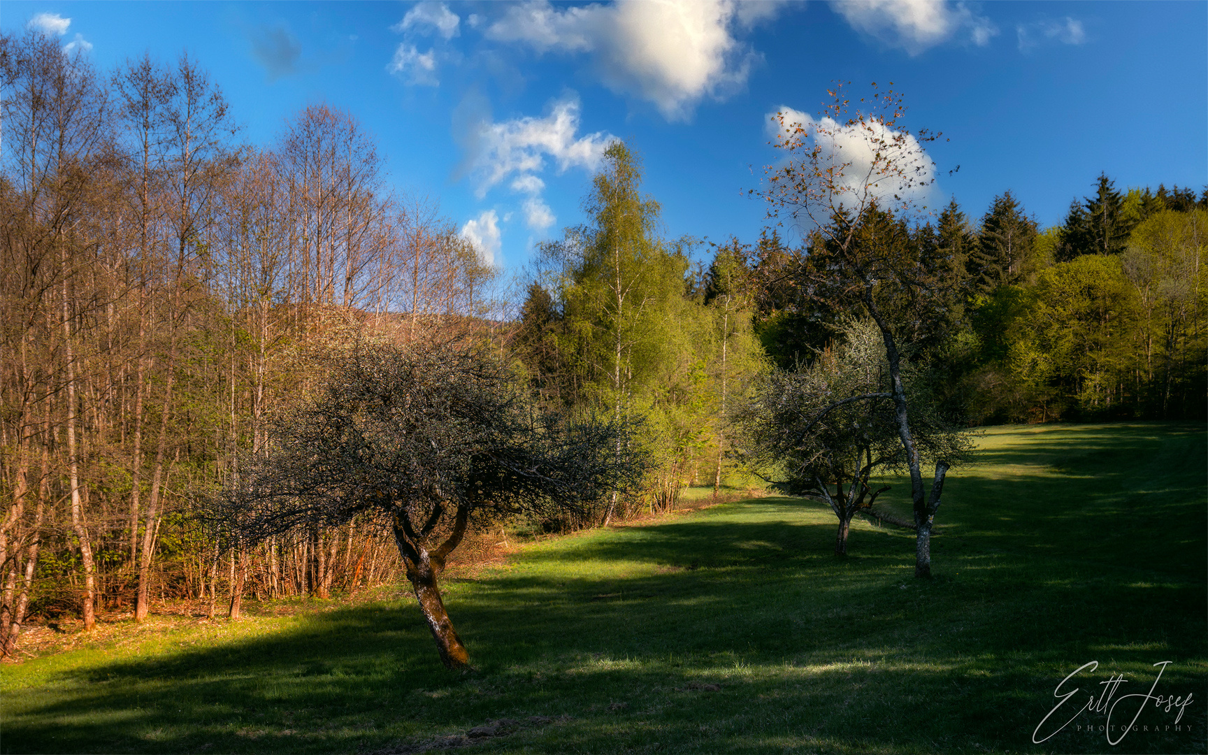 Wanderung Rohrstetten - Langfurth