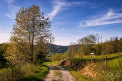 Wanderung Rohrstetten - Langfurth