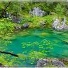 Wanderung rund um den Eibsee