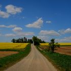 Wanderung rund um die Burg Leuchtenberg