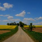 Wanderung rund um die Burg Leuchtenberg