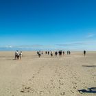 Wanderung über die Sandbank Norderoogsand