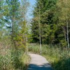 Wanderung um den Elbsee