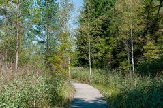 Wanderung um den Elbsee