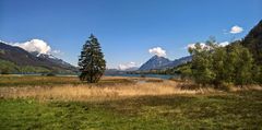 Wanderung um den Sarnersee 7