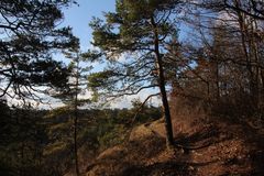 Wanderung um Jena