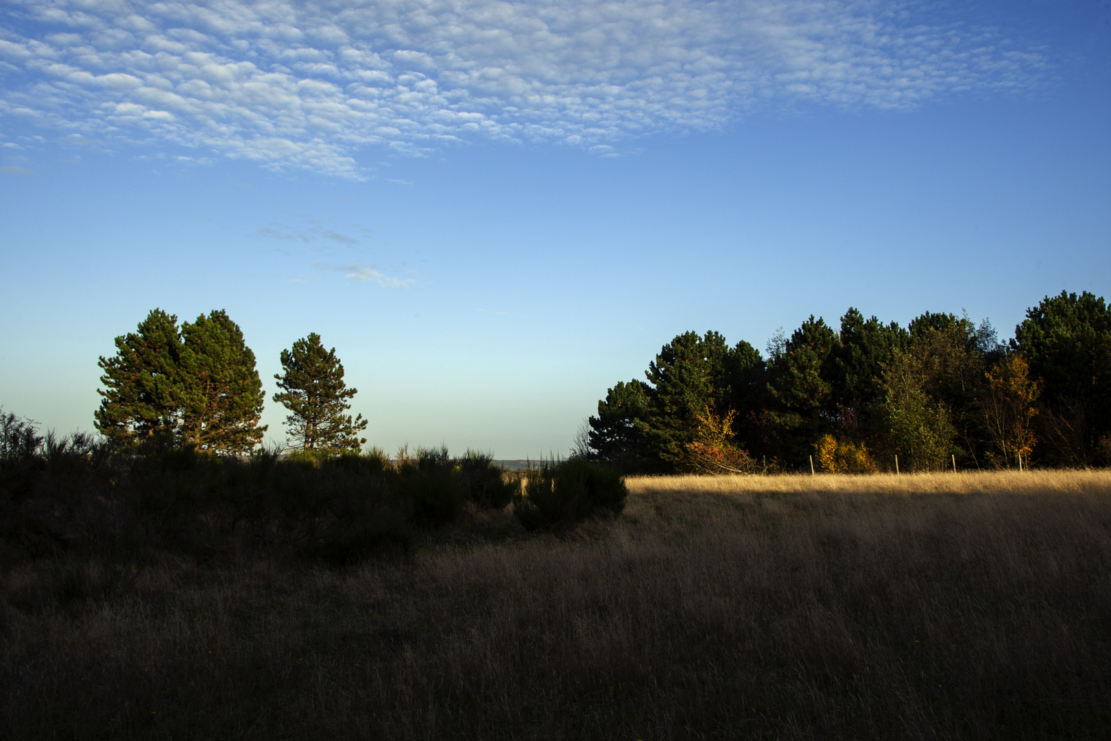 Wanderung vogelsang