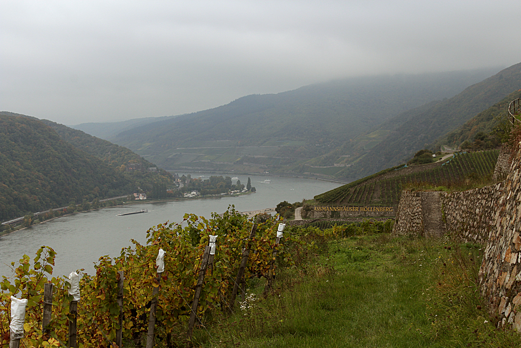 Wanderung von der Weinlage Assmannshäuser Frankenthal