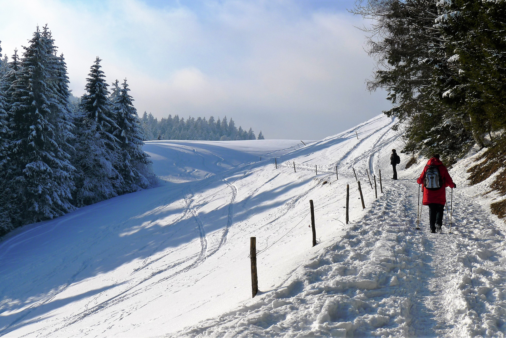 Wanderung von Egg aufs Bödele