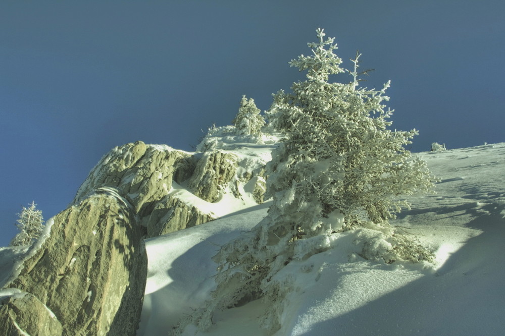 Wanderung von Gaitau zur Rotwand 2