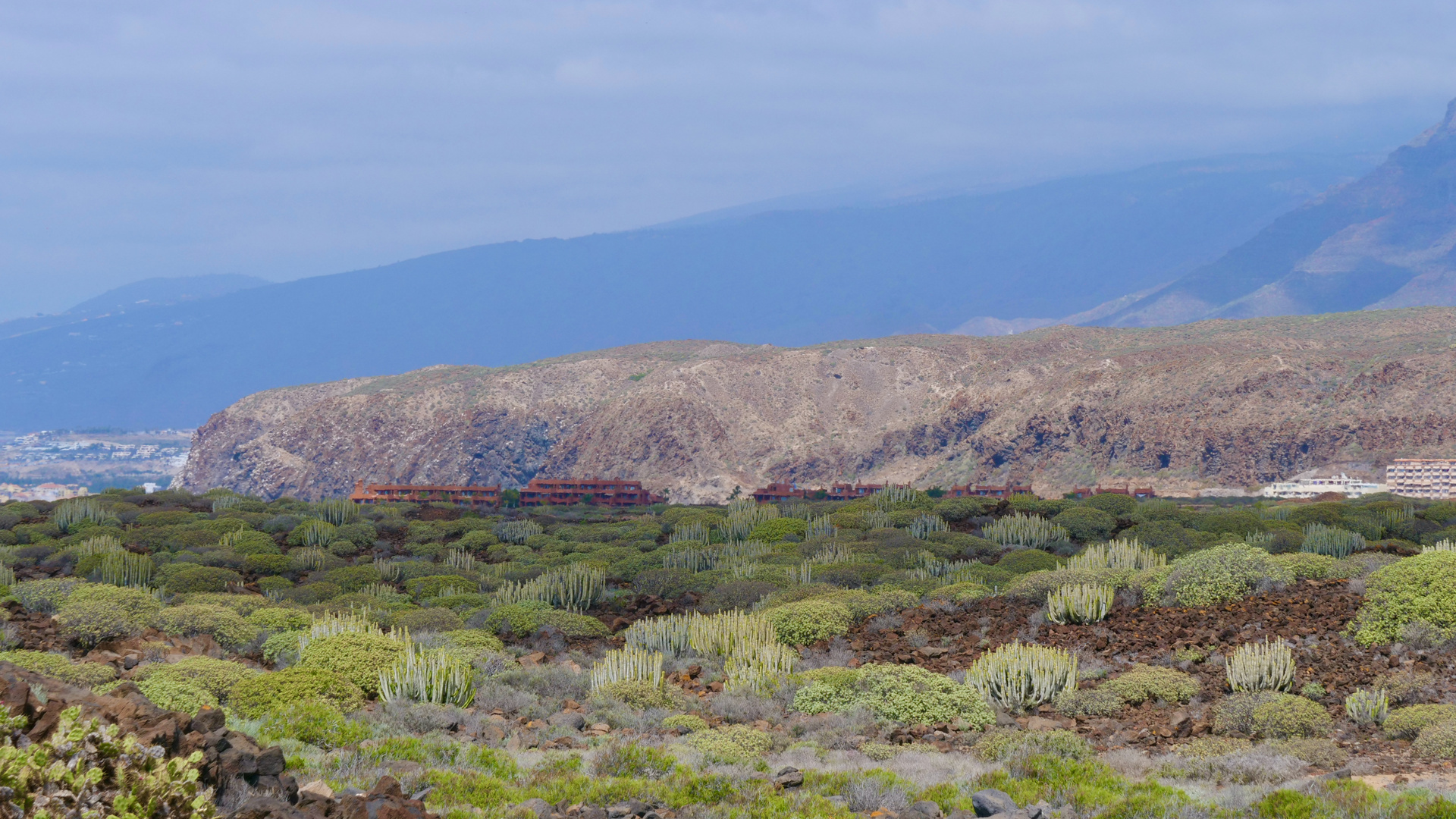 Wanderung von Las Galletas nach Pal Mar.Teneriffa