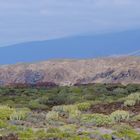 Wanderung von Las Galletas nach Pal Mar.Teneriffa