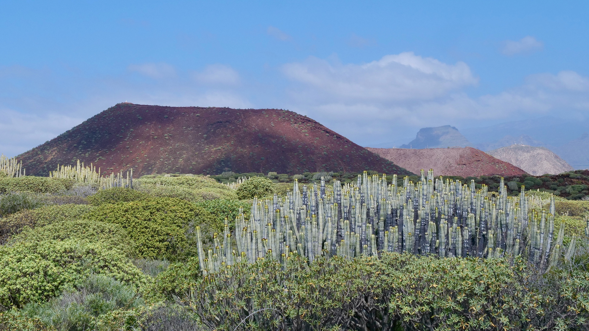 Wanderung von Las Galletas nach Pal Mar.Teneriffa