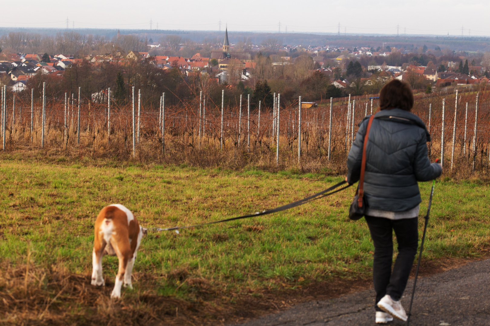 Wanderung von Zeutern nach Stettfeld