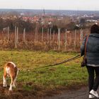 Wanderung von Zeutern nach Stettfeld