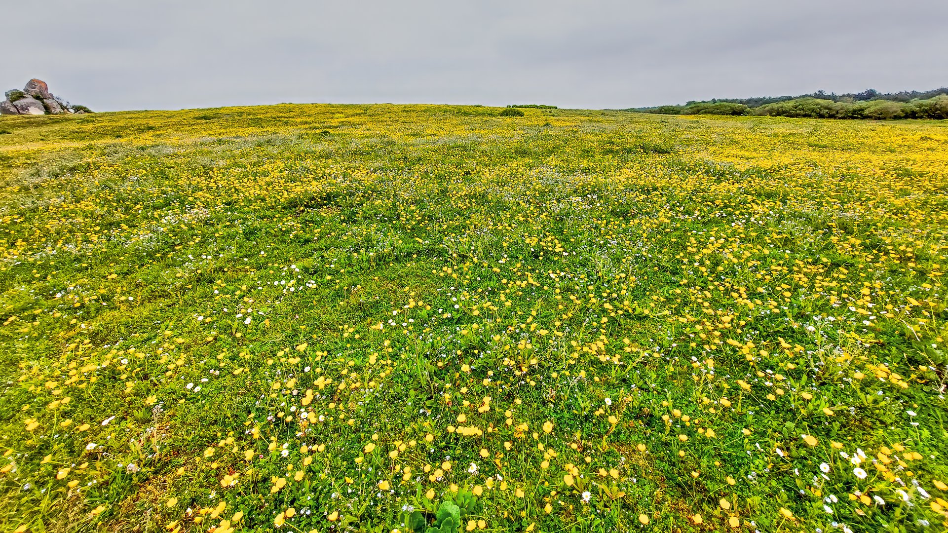 Wanderung Zöllnerpfad