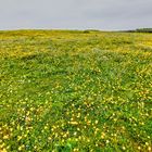 Wanderung Zöllnerpfad