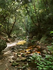 Wanderung zu den Potami-Wasserfällen 