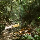 Wanderung zu den Potami-Wasserfällen 