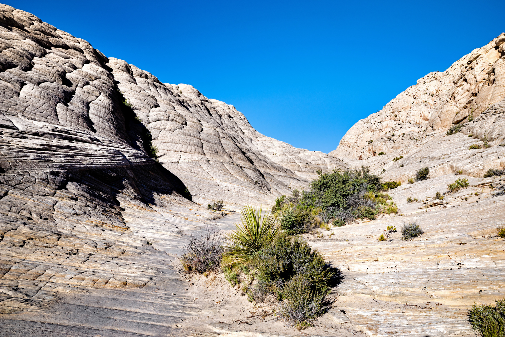 Wanderung zu den White Rocks