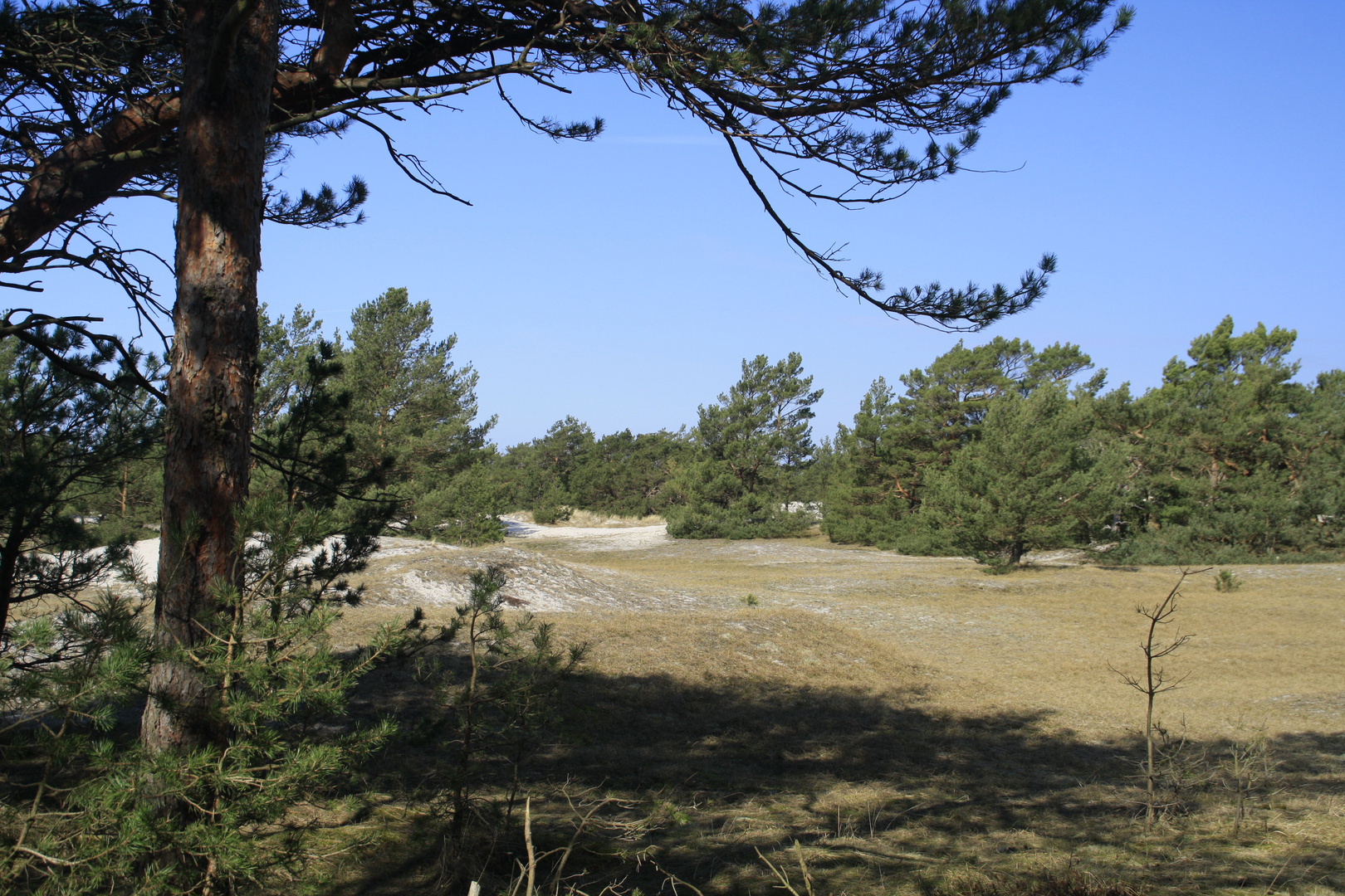 Wanderung zu Ostern 1