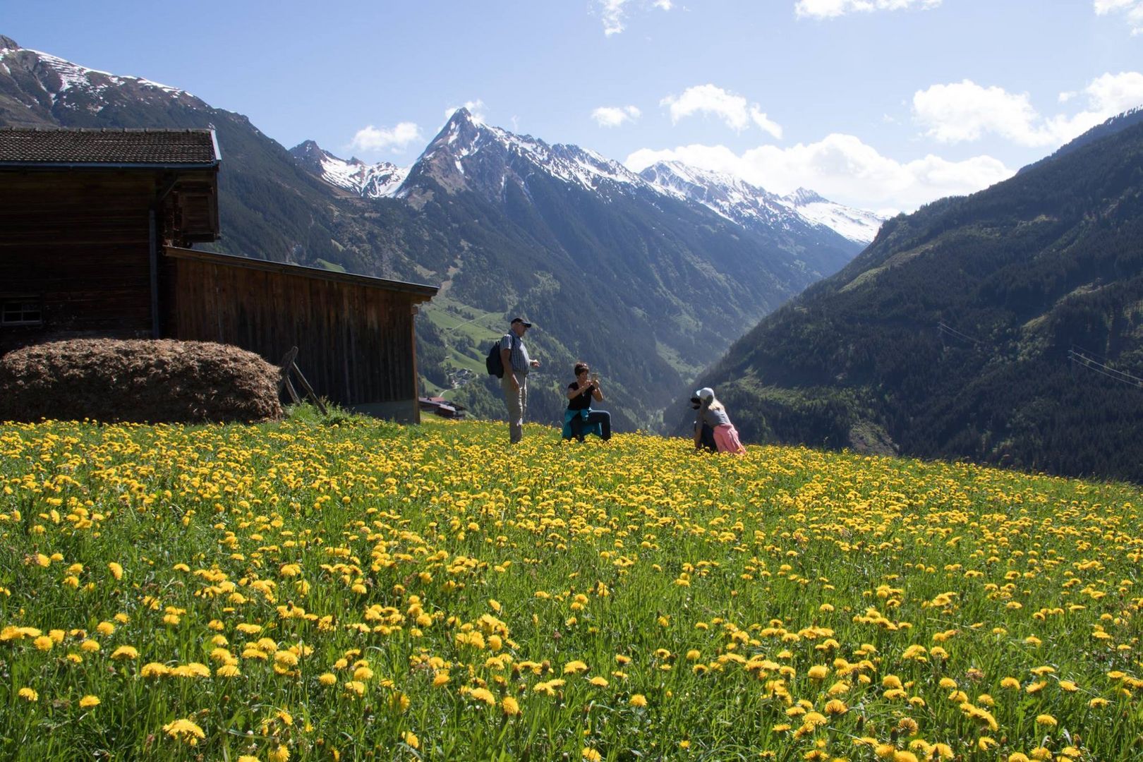 Wanderung zum Brandberg