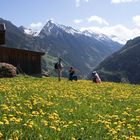 Wanderung zum Brandberg