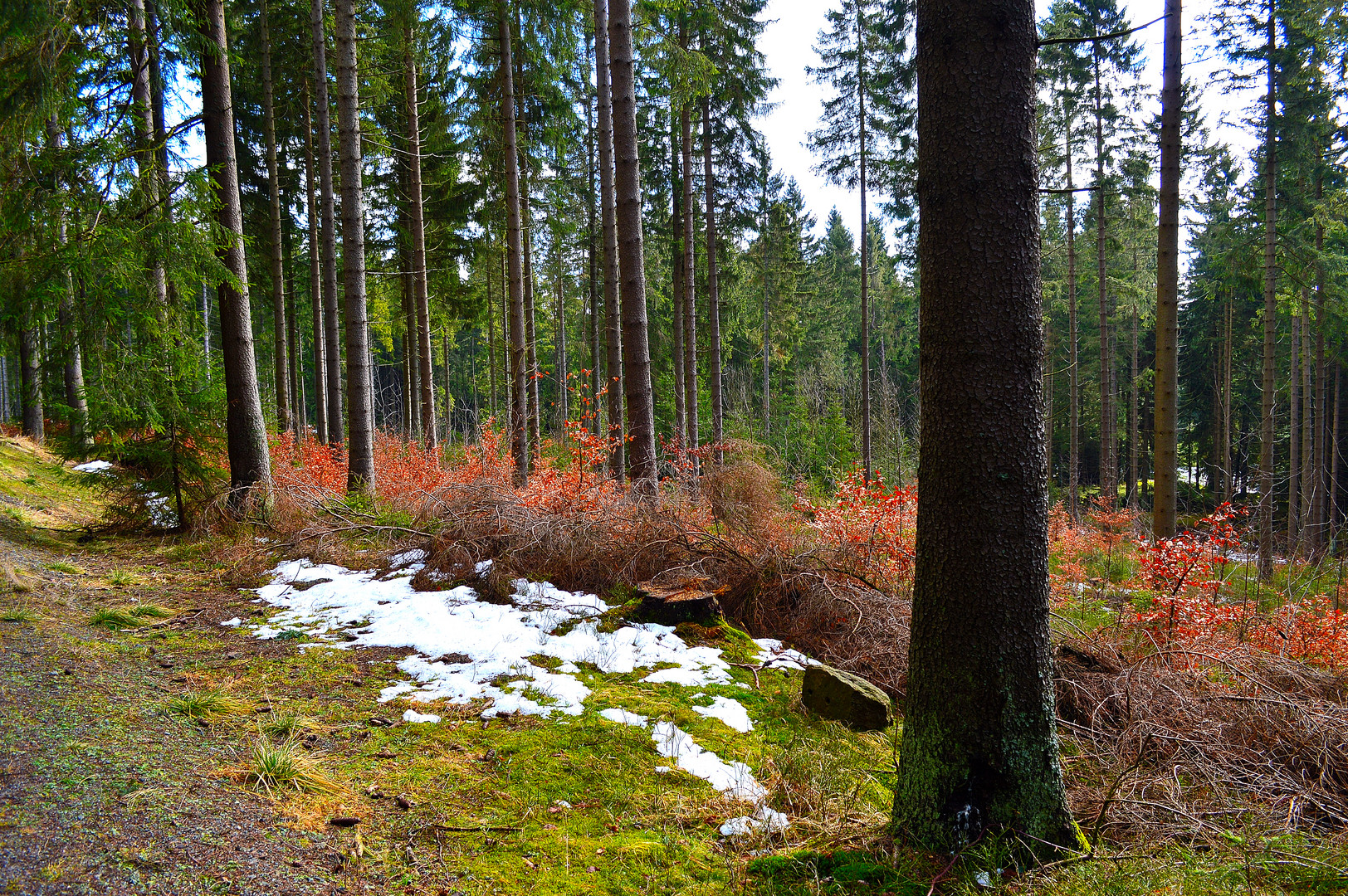 Wanderung zum Brocken