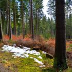 Wanderung zum Brocken