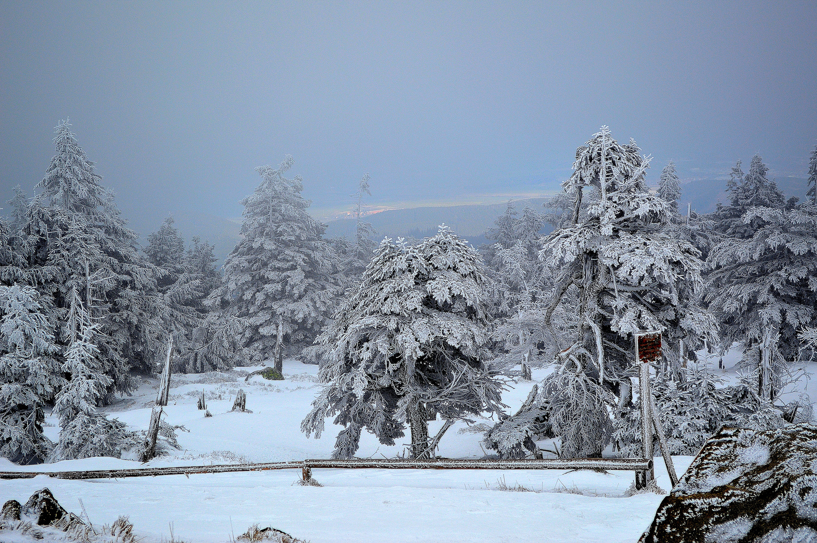 Wanderung zum Brocken - Blick ins Thal