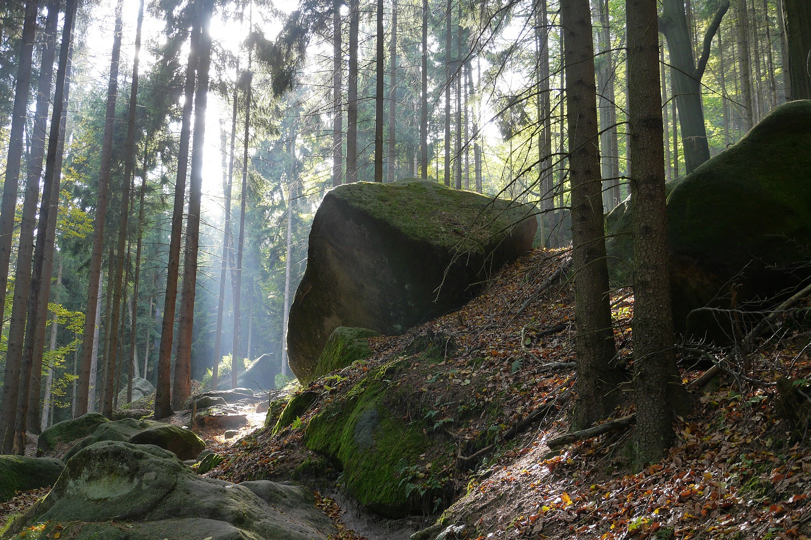 Wanderung zum Carolafels im Elbsandsteingebirge