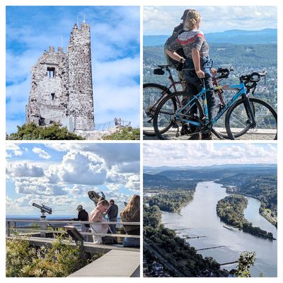 Wanderung zum Drachenfels Siebengebirge 