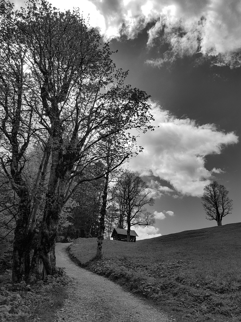 Wanderung zum Eckbauer