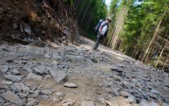 Wanderung zum Feldberg (J)