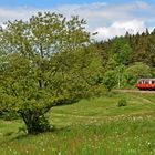 Wanderung zum Fronleichnam 