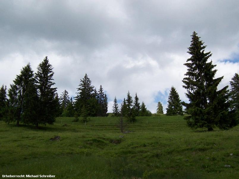 Wanderung zum oberen Sudelfeld nahe Bayrischzell