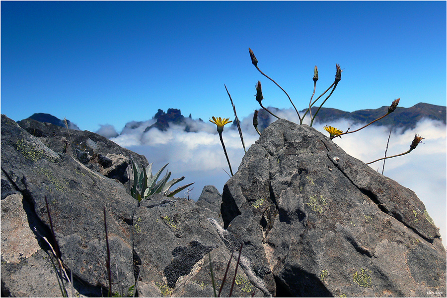 Wanderung zum Pico Grande 2