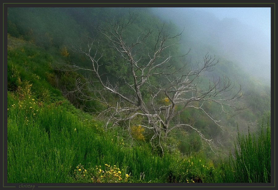 Wanderung zum Pico Grande 3