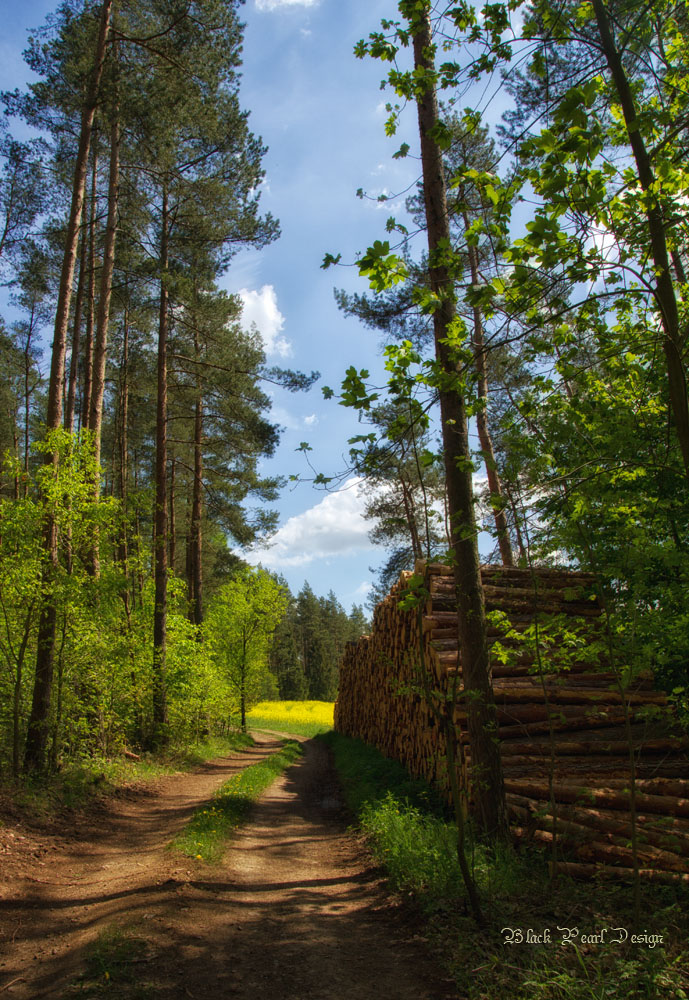 Wanderung zum Stausee Hohenwarte