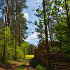 Wanderung zum Stausee Hohenwarte