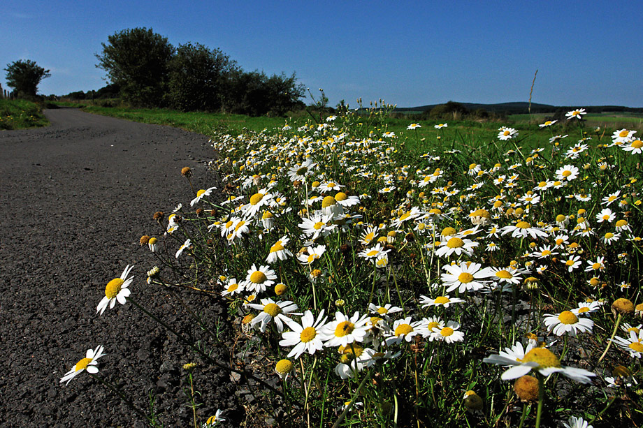 Wanderung zum Vulkan Kalem (10)