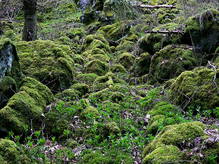 Wanderung zum Vulkan Kalem (2)