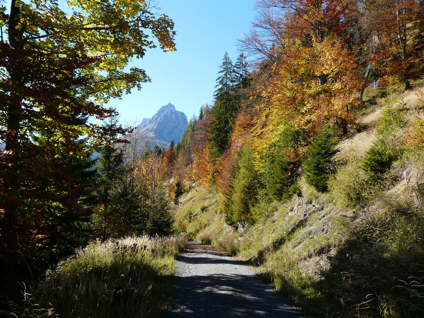 Wanderung zum Wetterkreuz (6)