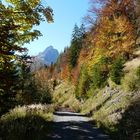 Wanderung zum Wetterkreuz (6)