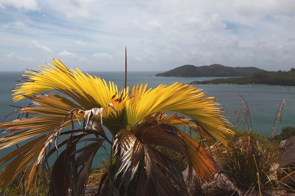 ...Wanderung zur Anse Georgette auf Praslin...