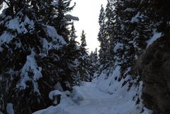 Wanderung zur Bettmeralp