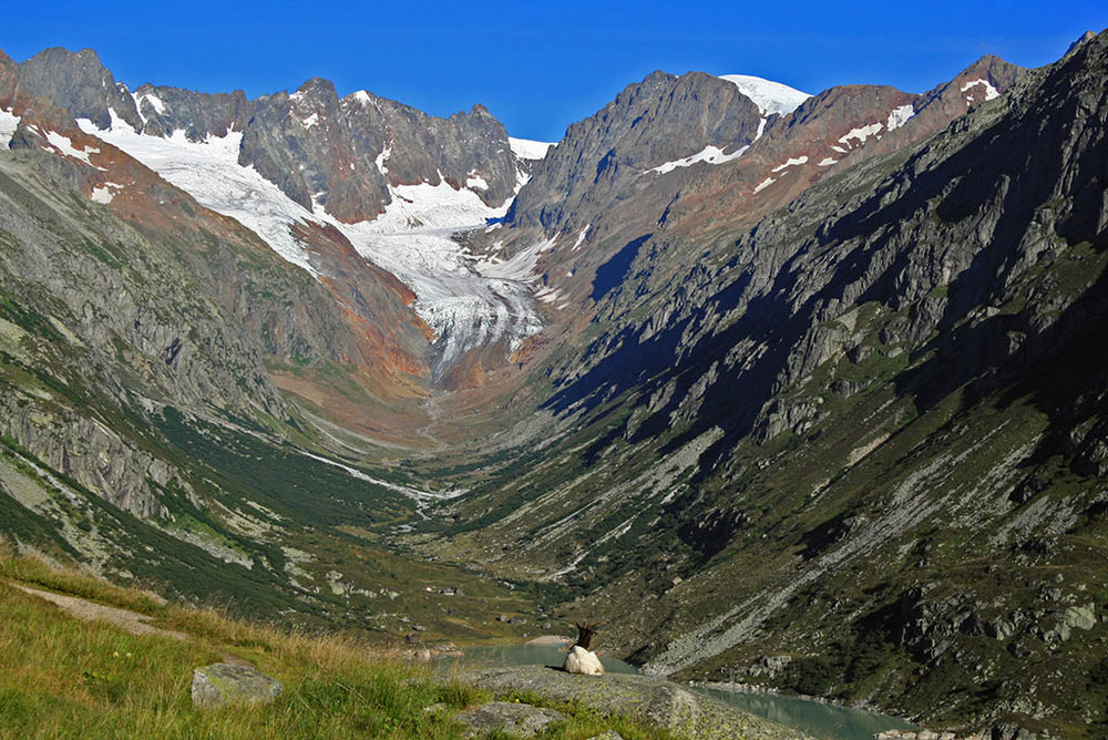 Wanderung zur Dammahütte3