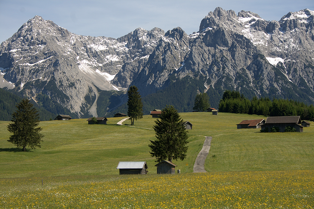 Wanderung zur Goas-Alm 5