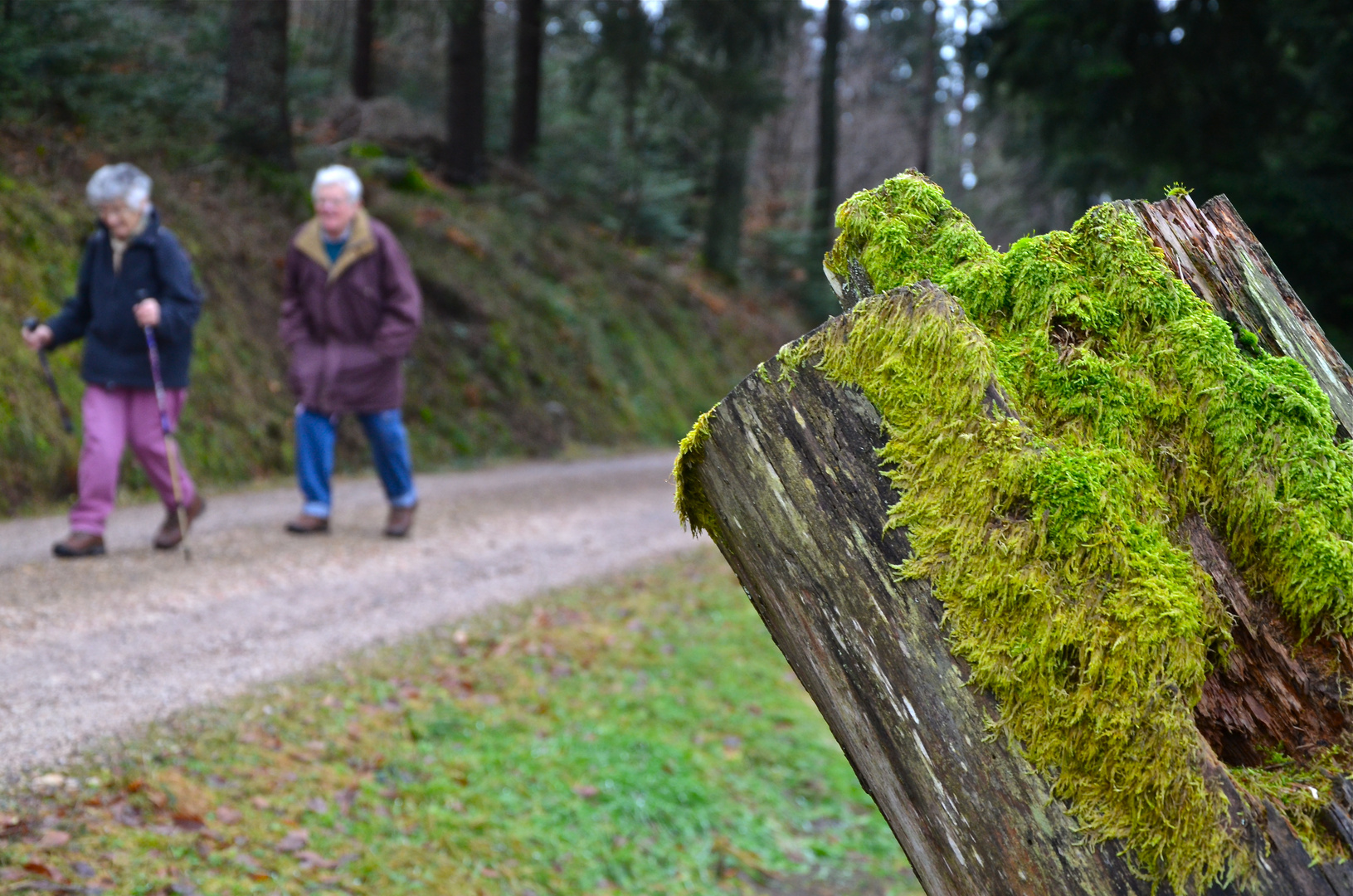 Wanderung zur Kornebene hoch