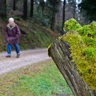 Wanderung zur Kornebene hoch